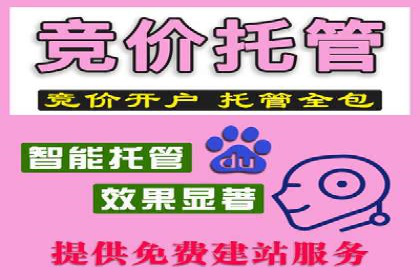 金融行业SEM运营托管的策略与效果